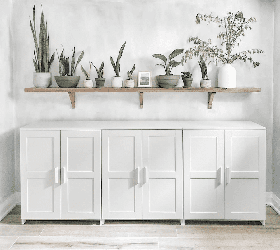 cement wall with nature-inspired plant shelf