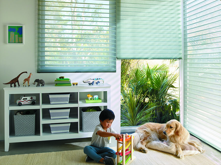 Kids and pets are kept safe in playrooms with cordless blings