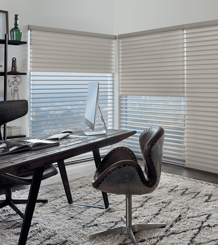 Dual Shades Two Shades on One Window Houston, TX