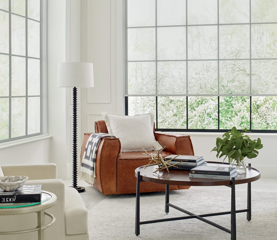 contemporary roller shades in large window of Friendswood TX living room