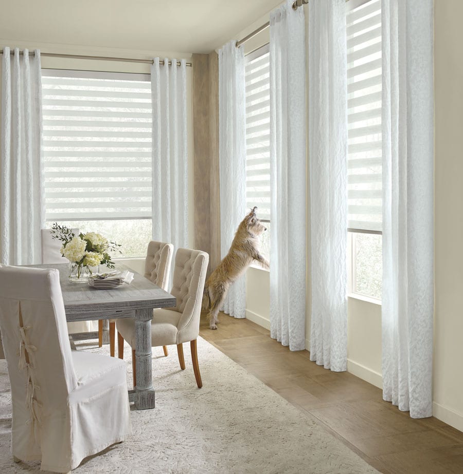 white banded shades with dog on window sill in Houston TX dining room