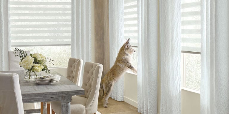 pet friendly window coverings in Houston TX