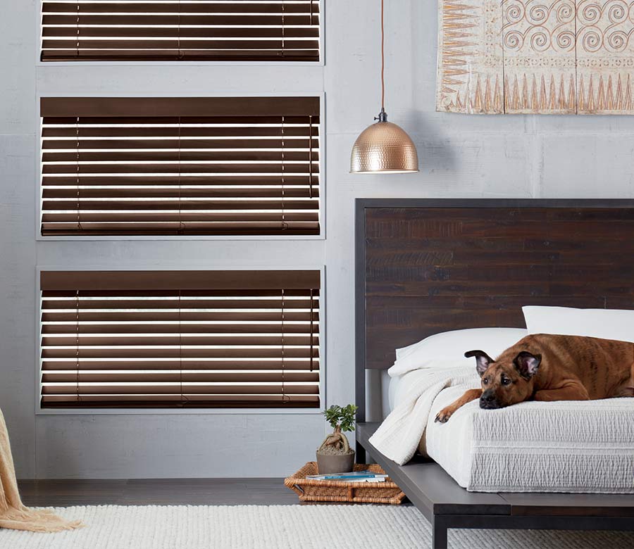 wood blinds in gray modern bedroom with dog on the bed