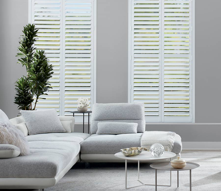 pet friendly floor to ceiling white shutters in Houston, TX