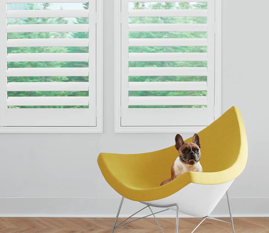 pet friendly interior white shutters woodlands, TX