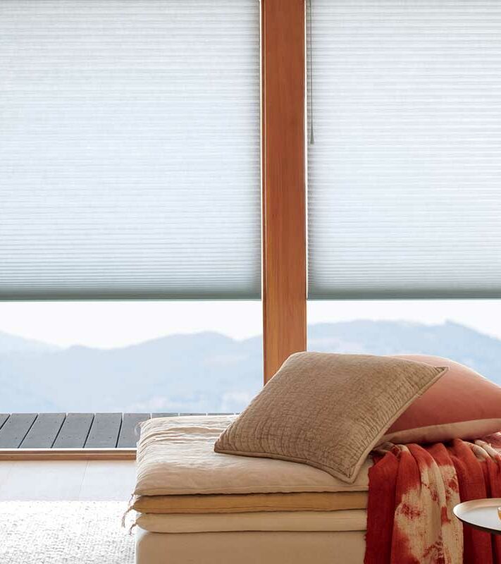 vacation home with large windows and honeycomb shades over mountains