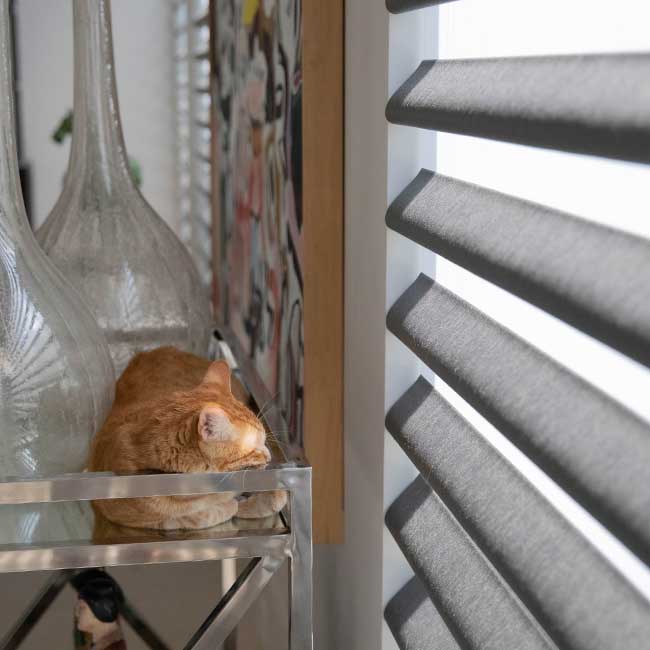 gray pirouette window shades on window next to sleeping cat