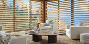 living room window treatments for comfort and light control