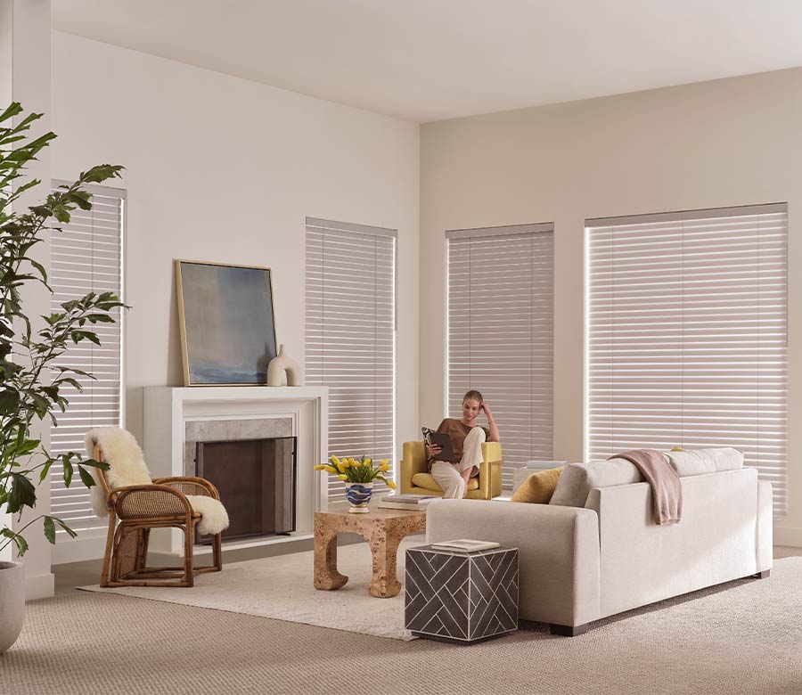 fabric blinds in living room