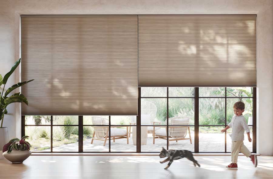 bonus space with brown window shades and dog and child looking out to the patio
