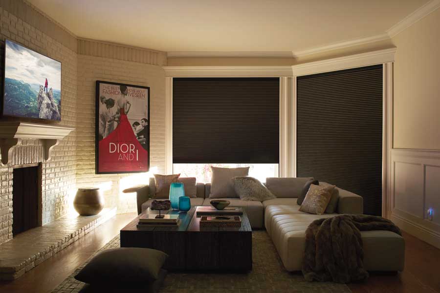 media room with dark blackout shades for light control 