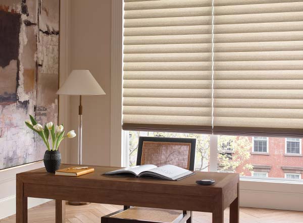 vignette-hunter-douglas-blue-sky-shutters-and-shades