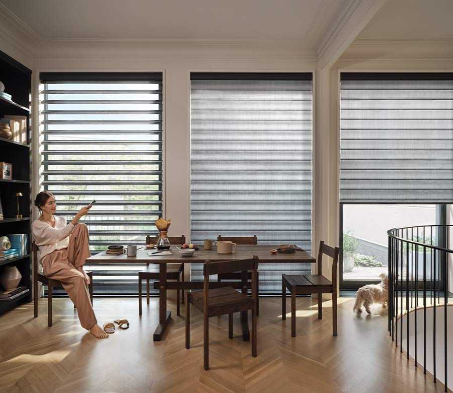 pirouette-window-treatments-multipurpose-dining-room-hunter-douglas-creative-blinds pirouette shades in multipurpose room with adjustable vanes