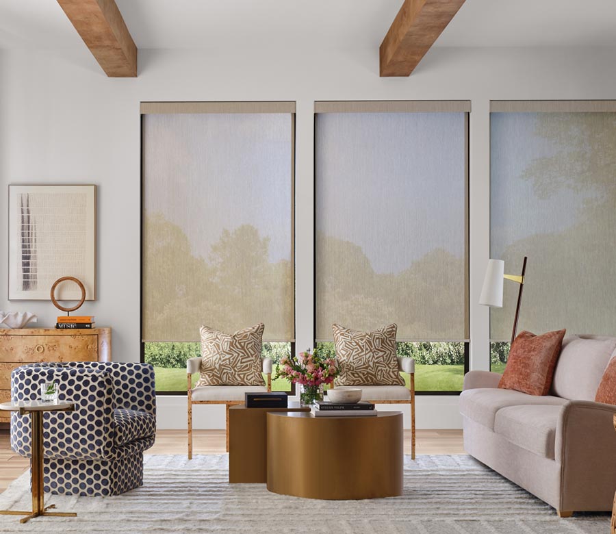 light-filtering-designer-screen-shades-with-gliding-window-panels-by-hunter-douglas-living-room-creative-blinds screen shades in living room for light filtering